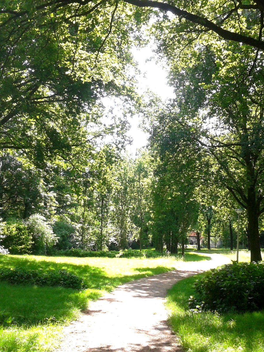 Over grenzen aangeven en leren kiezen voor&nbsp;jezelf