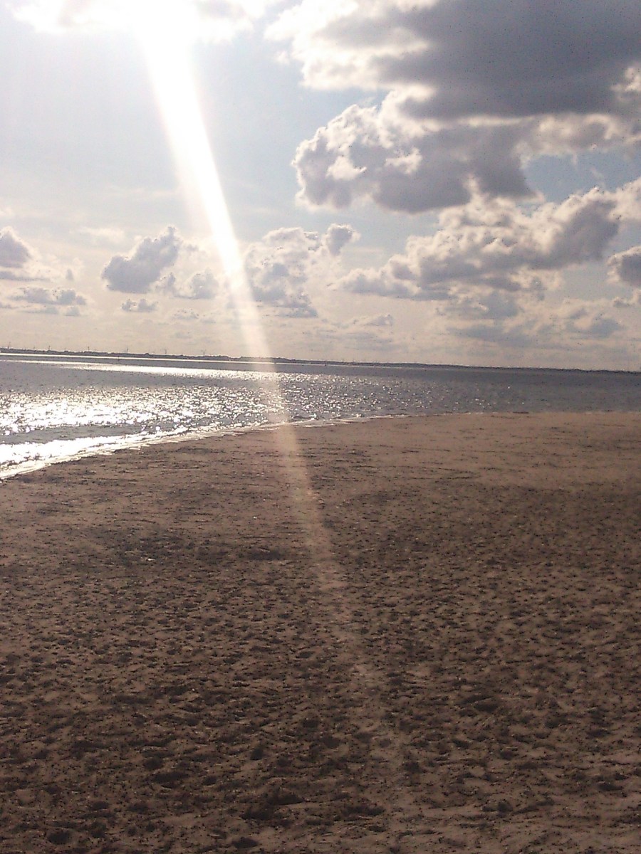 Leven, wie ben jij? – Art of&nbsp;Life