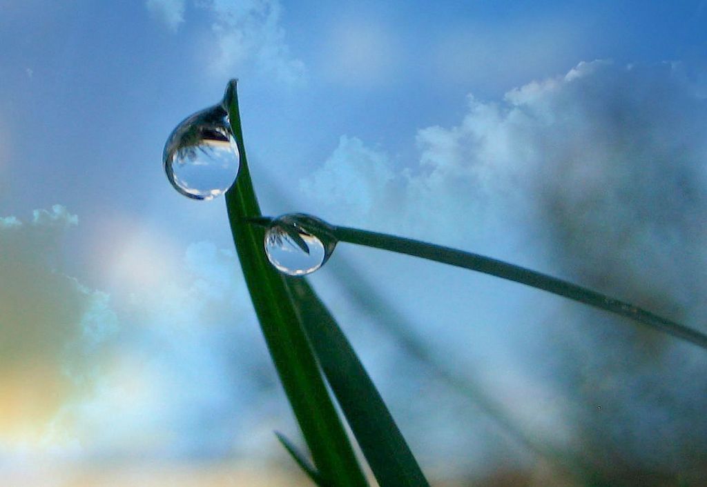 In stilte hopen – tussen hoop en wanhoop&nbsp;(3)