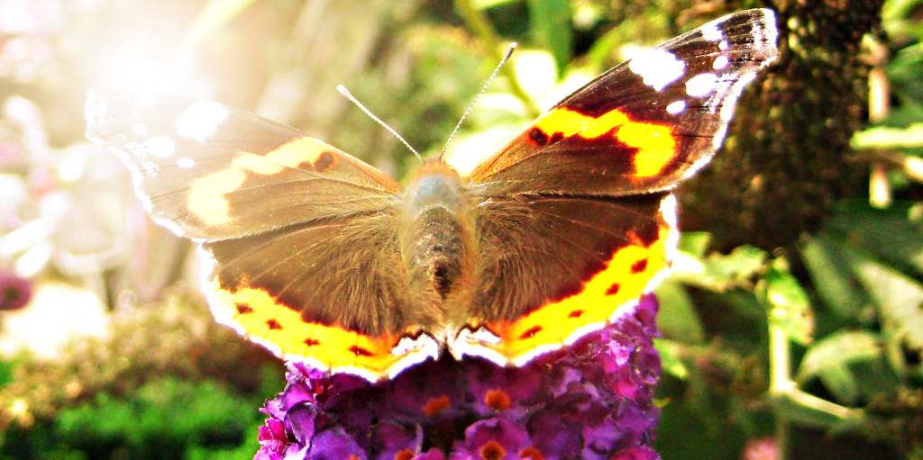 Achter elk masker schuilt een mens – buitenkant versus&nbsp;binnenkant
