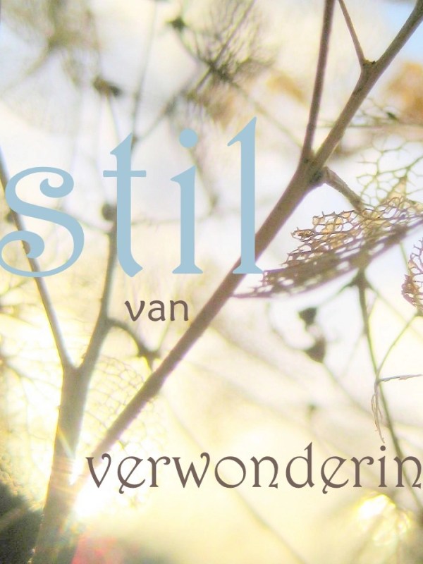 Verwondering begint waar haast&nbsp;eindigt